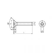 PARAFUSO-HEXALOBULAR-SIX-LOBE-TORX-CHATA-iso-14581-img1